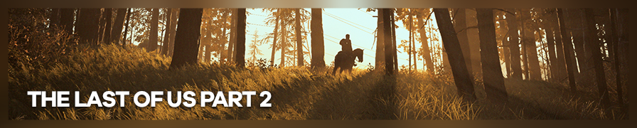 Shot by IronGauntlet The Last of Us Part 2